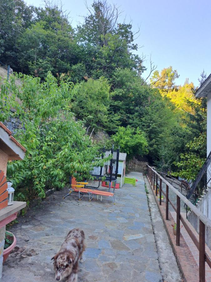 The Giaggiolo'S House Apartment Serra Ricco Bagian luar foto